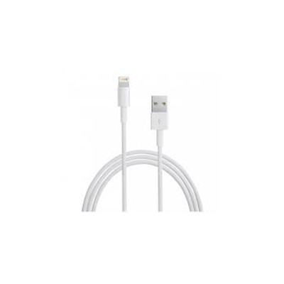 Nanocable Lightning/M a USB-A/M 1m Blanco (10.10.0401)