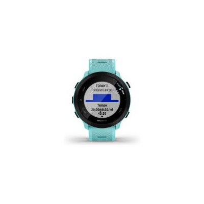 Smartwatch Garmin Forerunner 55 Turquesa (010-02562-12)