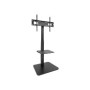 Soporte Suelo TOOQ 37"-75" Hata 40Kg Negro (FS2287M-B)