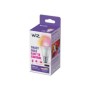 Bombilla Inteligente Wiz LED E27 806L (929003601001)