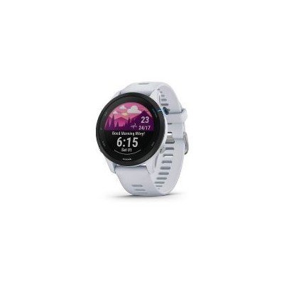 Smartwatch Garmin Forerunner 255 46mm (010-02641-31)