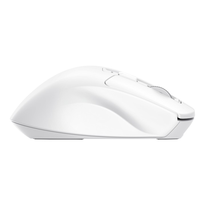 Ratón Trust Niven RF Wireless/Bluetooth Blanco (26022)