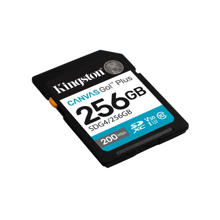 Kingston SDXC Canvas Go Plus 256Gb Gen4 (SDG4/256GB)