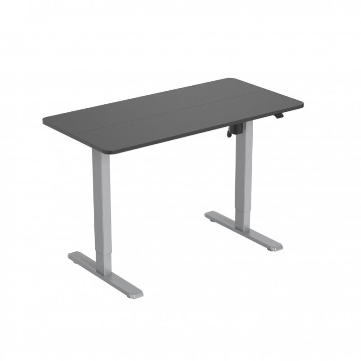 Equip Mesa Eléctrica Ergonómica Elevable con Altura Regulable 120x60 Gris