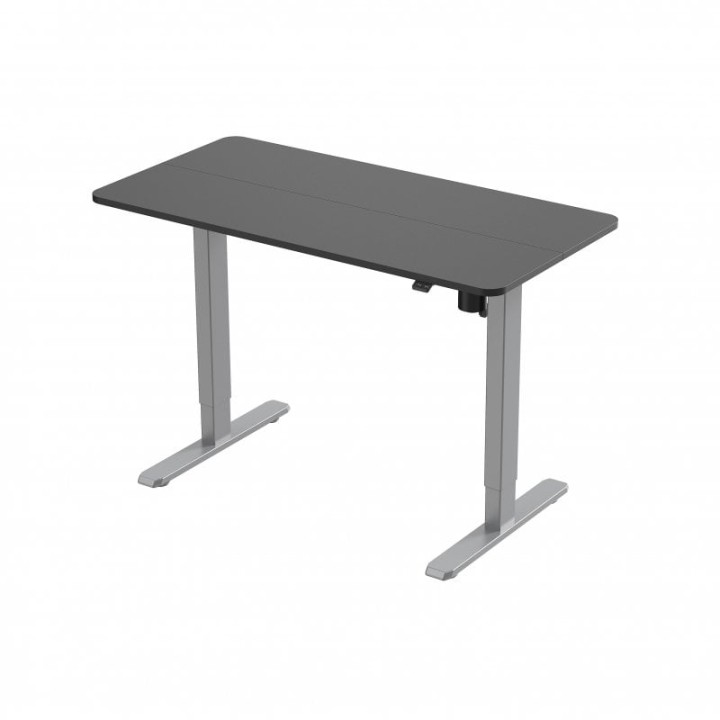 Equip Mesa Eléctrica Ergonómica Elevable con Altura Regulable 120x60 Gris