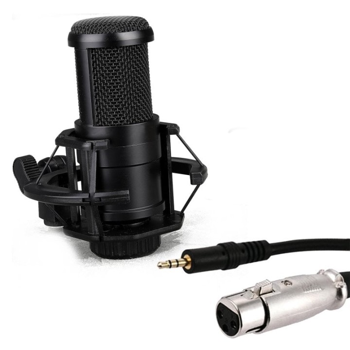 Phoenix Streamcast Pro Micrófono Streaming Cardioide con Brazo Extensible