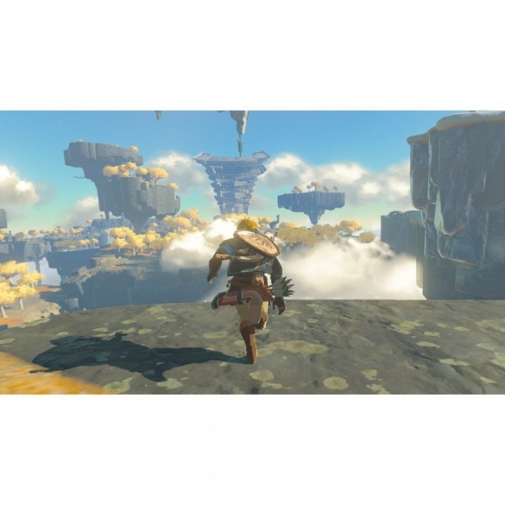 The Legend of Zelda: Tears of the Kingdom Nintendo Switch