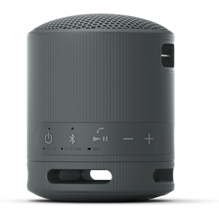 Sony SRS-XB100 Altavoz Portátil Bluetooth Negro