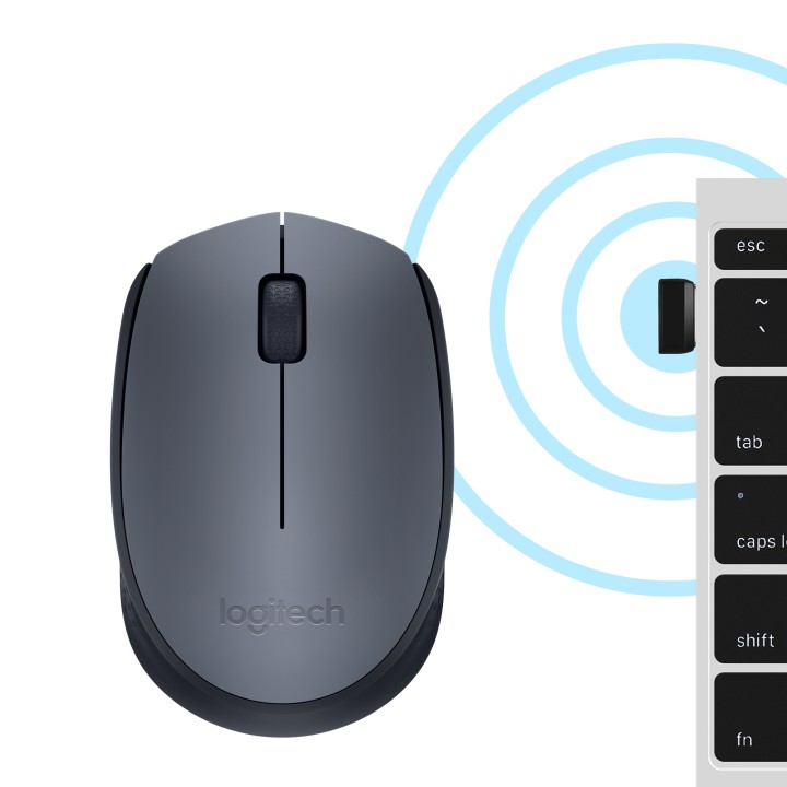Ratón LOGITECH M170 Wireless 2.4Ghz Gris (910-004642)