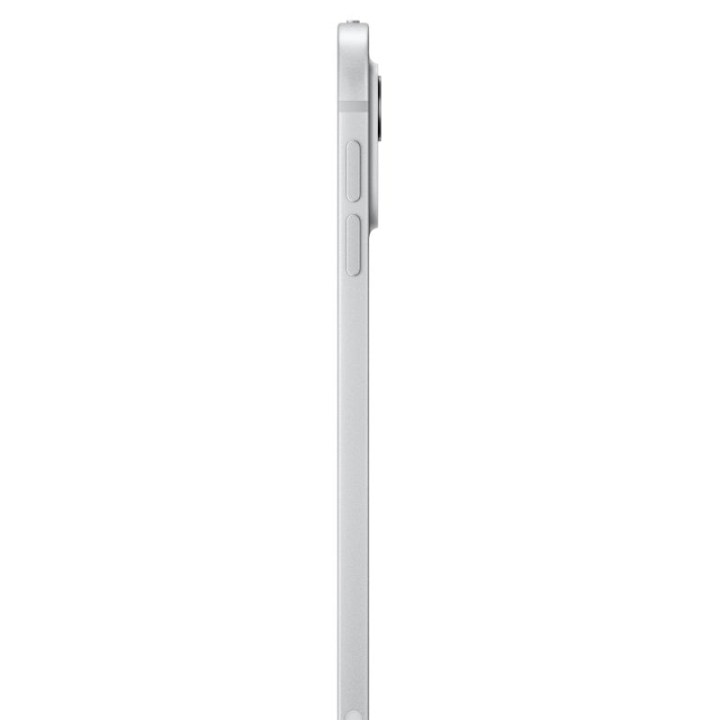 Apple iPad Pro 2024 11" Wifi + Cellular 2TB Plata