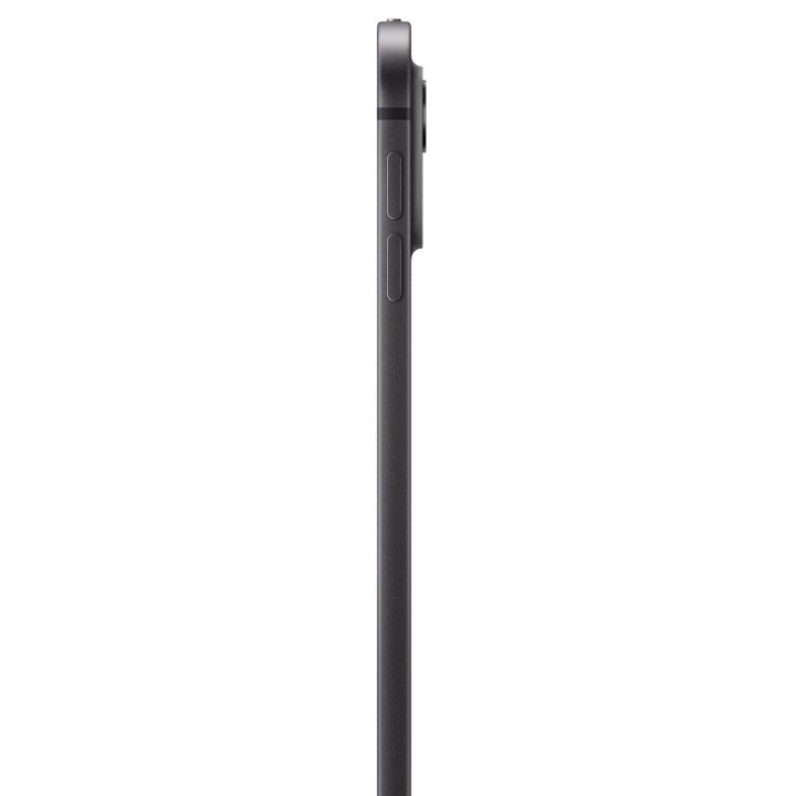 Apple iPad Pro 2024 13" Wifi + Cellular 2TB Negro Espacial