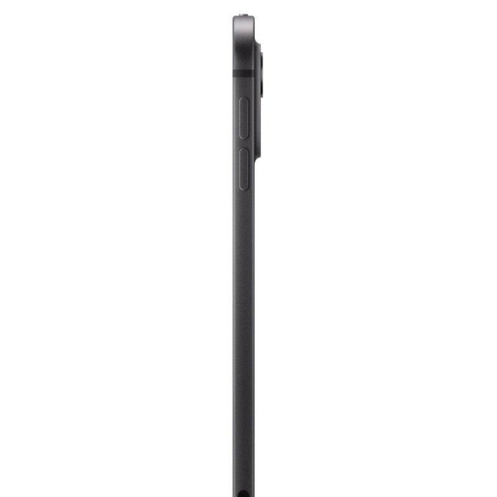 Apple iPad Pro 2024 11" Wifi + Cellular 2TB Vidrio Nanotexturizado Negro Espacial