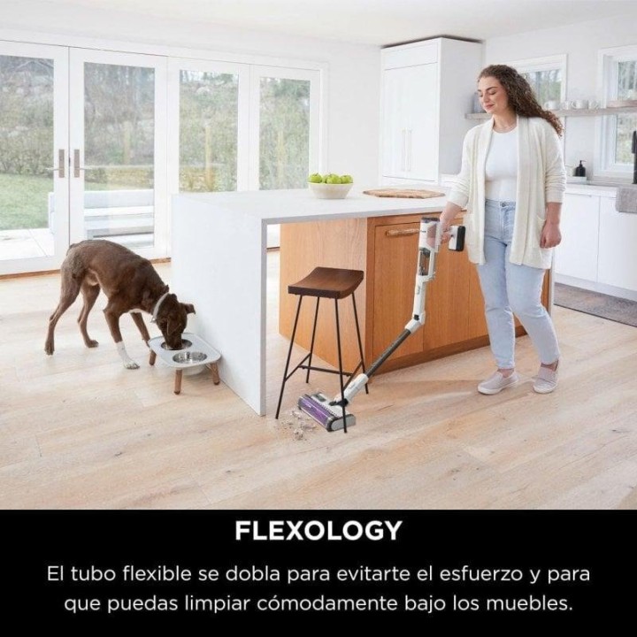 Shark IW1611EU Aspirador Escoba sin Cable con Detector de Suciedad