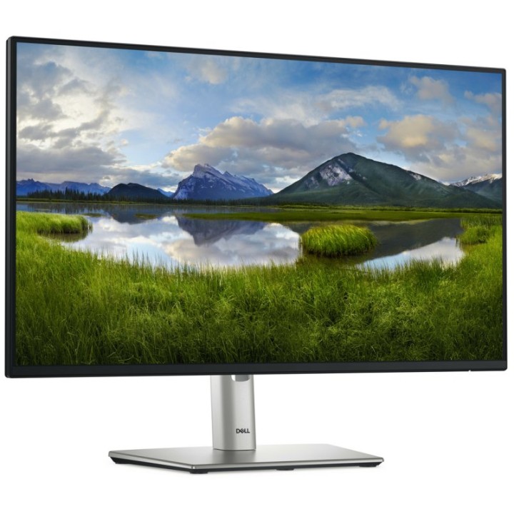Dell P2425HE 24" LED IPS FullHD 100Hz USB-C