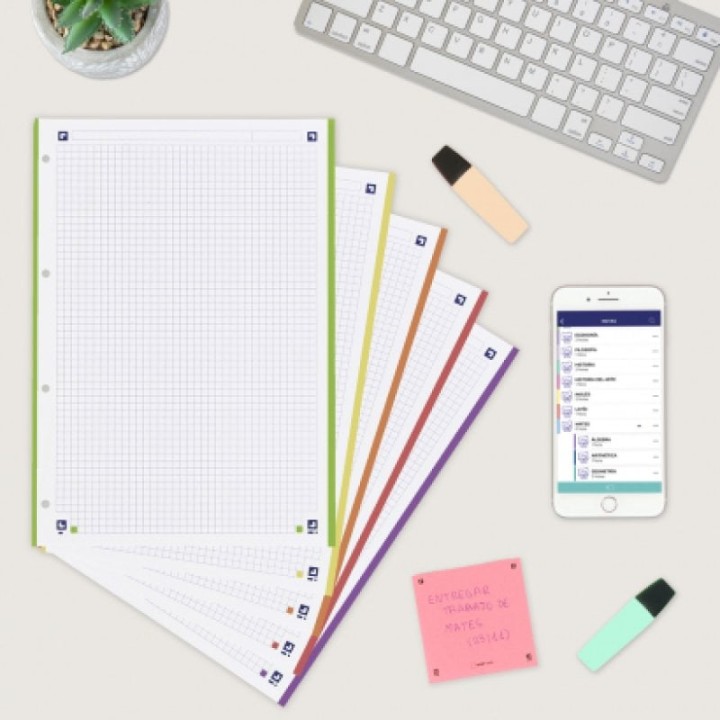 Oxford 250 Folios A4 de Recambio Retractilado para Carpeta de Anillas 5 Colores