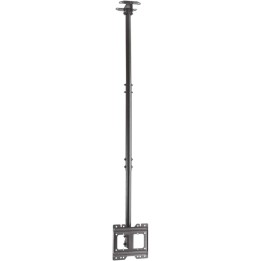 Aisens Soporte de Techo Giratorio Inclinable Extensible para Monitor/TV 50Kg de 23-43" Negro