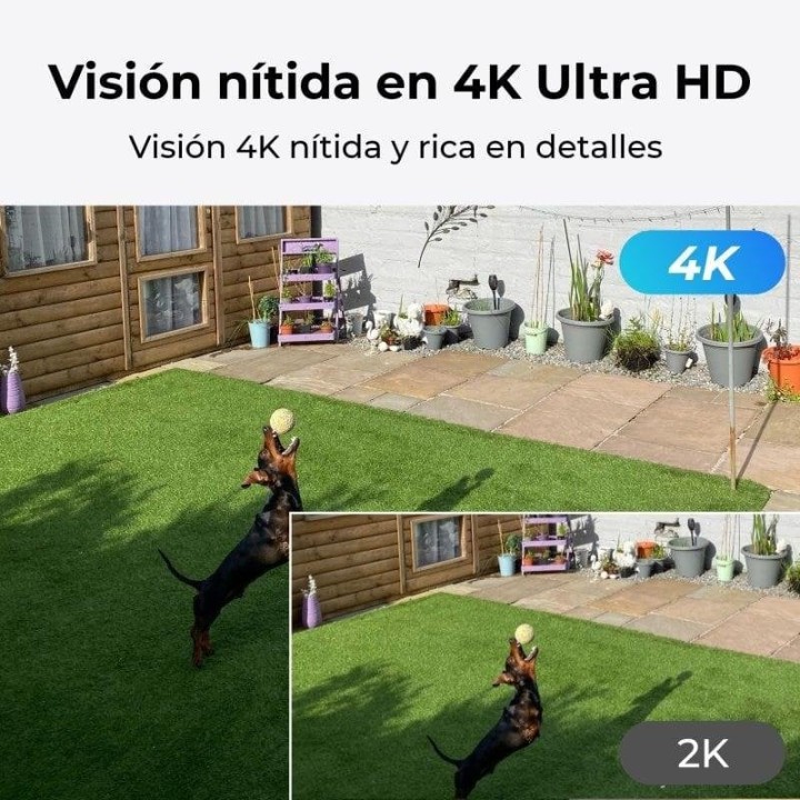 Reolink Cámara PT de Vida Silvestre con Batería 4G LTE, Visión de 360° en 4K