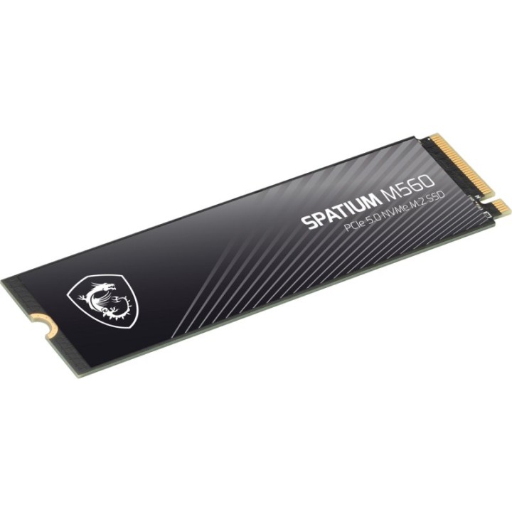 MSI SPATIUM M560 1TB Disco SSD 10200MB/s NVMe PCIe 5.0 M.2 Gen5 3D NAND