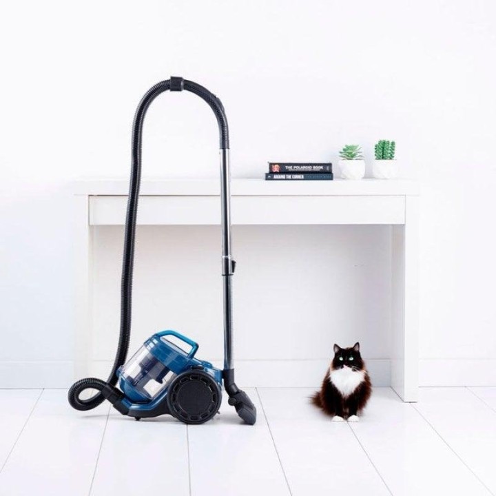 Aspiradora trineo sin bolsa Taurus Homeland Cyclone Animal 800W Filtro HEPA Mini Turbo Brush