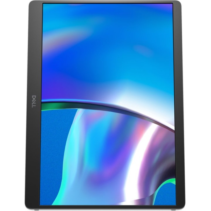 Dell Pro Plus P1425 14" WUXGA IPS 400cd/m² sRGB 100% USB-C Antirreflectante VESA Plata