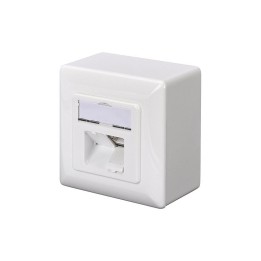 Digitus Toma de Red Cat 6A Apantallada RJ45 Blanco