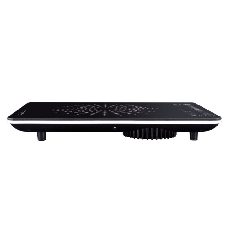 Jata Vin145 Placa de Inducción 2100W