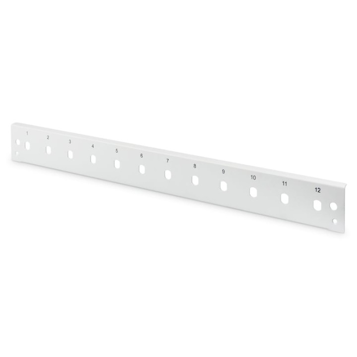 Digitus Panel Frontal Vertical 12 Puertos ST 1U Gris
