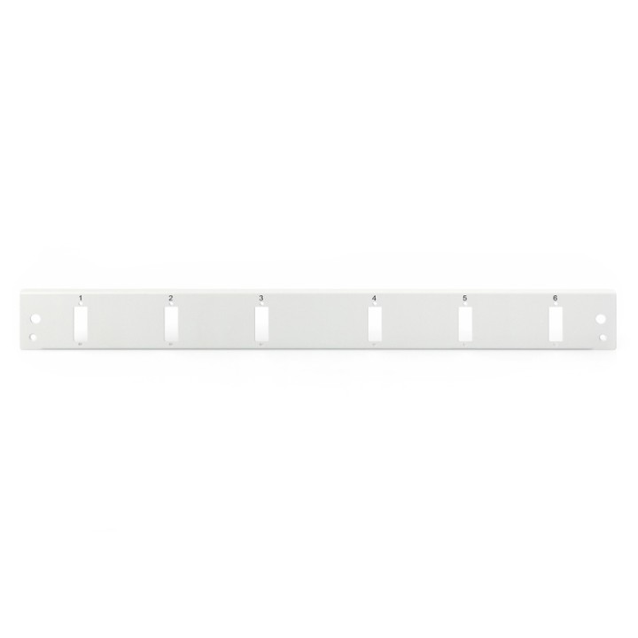 Digitus Panel Frontal Vertical 6 Puertos SC 1U Gris