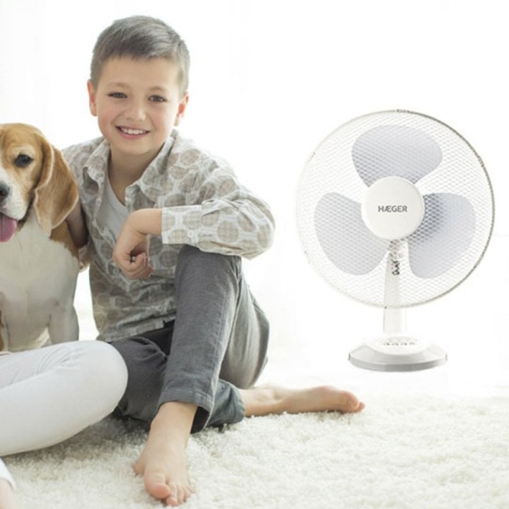 Haeger Table Wind Ventilador de Sobremesa 45W