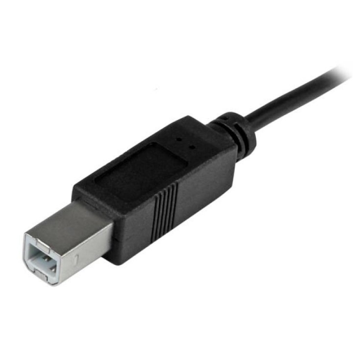 StarTech Cable de Impresora USB 2.0 B a USB-C 1m Negro