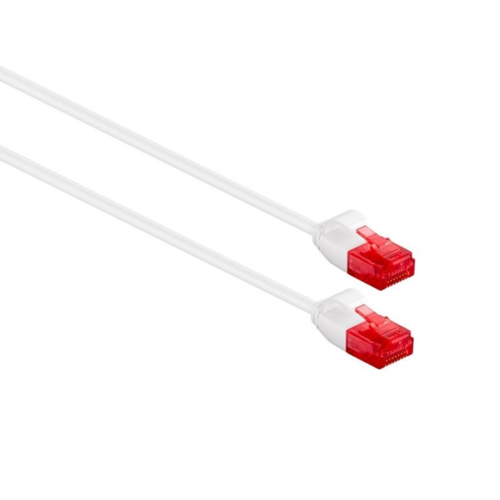 Ewent Cable de Red Slim U/UTP Cat 6 1m Blanco