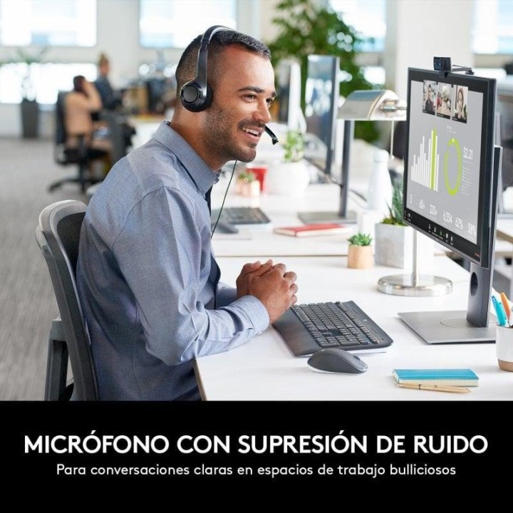 Logitech H390 Auriculares Estéreo con Micrófono con Supresión de Ruido USB-A funciona con Chromebook