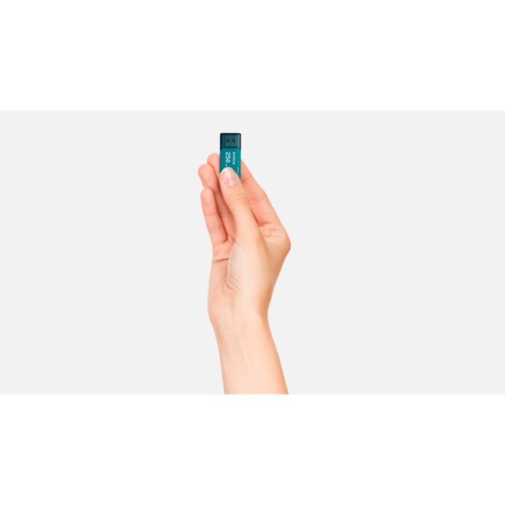 Kioxia TransMemory U301 Unidad Flash USB 3.2 256GB Azul
