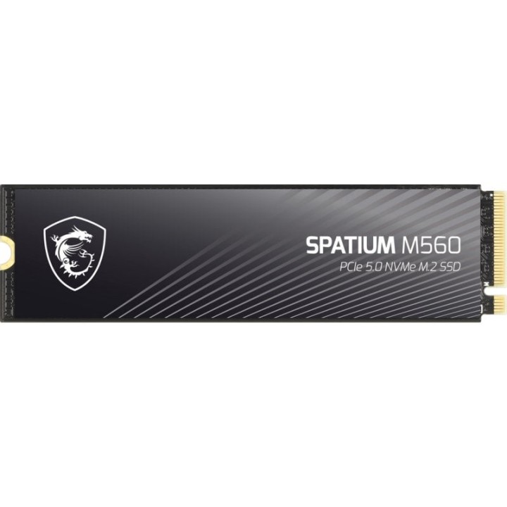 MSI SPATIUM M560 2TB Disco SSD 10300MB/s NVMe PCIe 5.0 M.2 Gen5 3D NAND