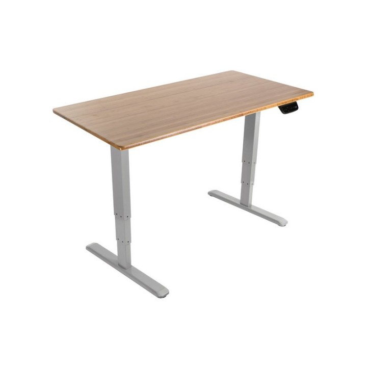 Equip Ergo Marco Eléctrico Regulable para Escritorio Doble Motor Max 100Kg Gris