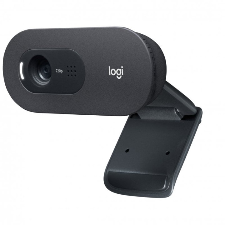 Logitech C505E Webcam 720p