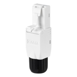 Conector Nanocable RJ45 Cat6A 10 Unidades (10.21.0601)