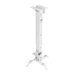 Soporte de Techo TooQ Proyector 20Kg Blanco (PJ2012T-W)