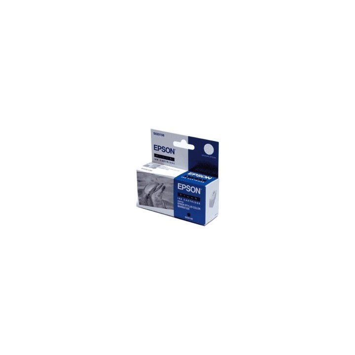 Tinta Epson Negro (C13S02010840)