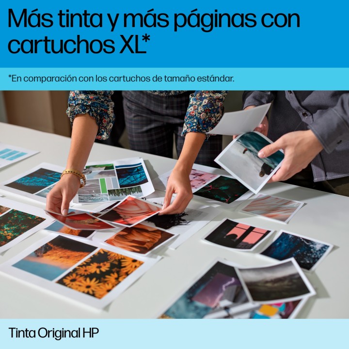 Tinta HP DesignJet 746 Negro Photo 300ml (P2V82A)